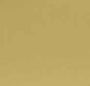 696 - Satin Brass Painted